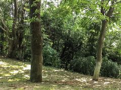 -敬亭山风景名胜区