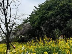 -磁器口古镇