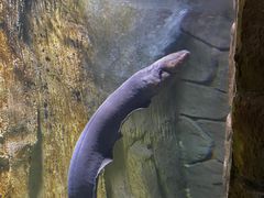 -多彩贵州城极地海洋世界