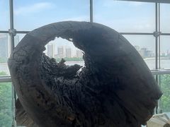 -上海当代艺术博物馆