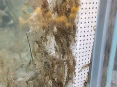 -传统菜农庄(皇姑路店)