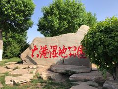 -大港湿地公园