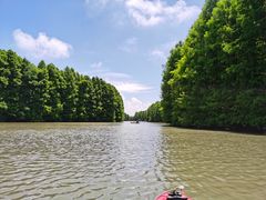 -上海海湾国家森林公园