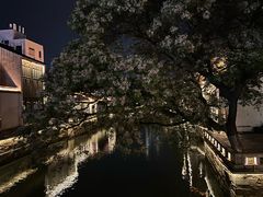 -青果巷历史文化街区