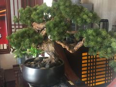 -福阳·足道养生会所(远大路店)