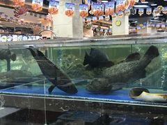 水产区-东江海鲜酒家(艺都分店)