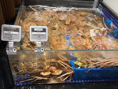 -高佳庄·舟山海鲜(海景旗舰店)