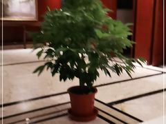 -国府一品(静宁路店)