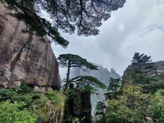 -黄山风景区