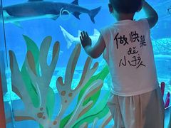 -海合安成都极地海洋公园