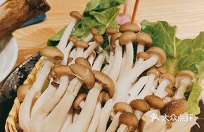Fresh Winter Mushroom Stick