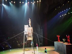 -重庆国际马戏城
