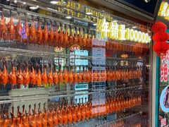 -朱记乳鸽王·非遗石岐乳鸽·全鸽宴(大兴旗舰店)