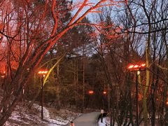 -帽儿山国家森林公园