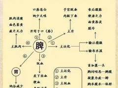 -裕和堂中医推拿艾灸(太古汇臻品店)