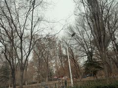 -裕华世纪公园