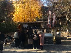 -古北烤梨