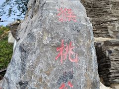 -大岭沟猕猴桃谷风景区