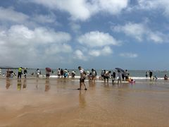 -日照灯塔风景区