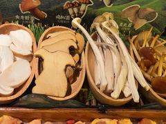-季季山·云南野生菌火锅(上海首店)