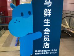 -盒马鲜生(大成店)
