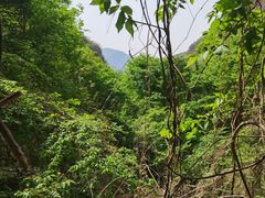 -十渡东湖港风景区