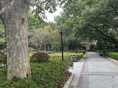 -徐家汇源景区-衡山公园