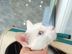 -芭比堂动物医院·CT·微创中心(新顺分院)