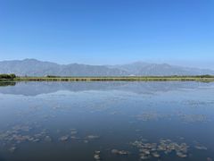 -野鸭湖国家湿地公园