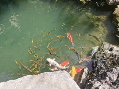 -新荣记(西溪湿地店)