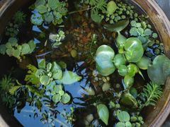 -川匠·睡眠采耳·SPA(九眼桥店)