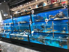 水产区-盒马鲜生(曜一城店)