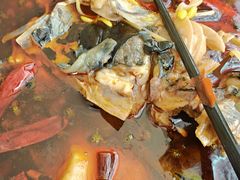 -王婆乔鲜鱼自助火锅(蜀汉路店)