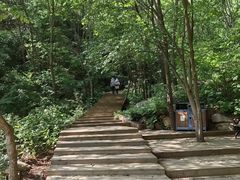 -大岭沟猕猴桃谷风景区