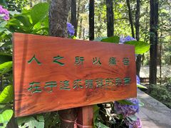 -寂照庵