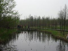 -溱湖国家湿地公园