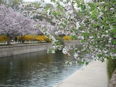 -海棠花溪(元大都城垣遗址公园)
