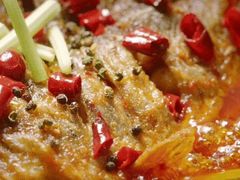 -老板恋上鱼(恒隆广场店)