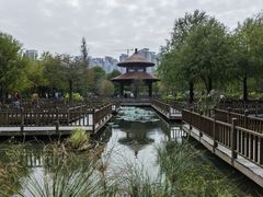 -五缘湾湿地公园