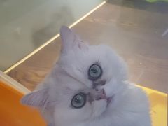 -乐宠宠物店(世纪金源店)