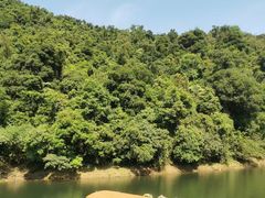 -鼎湖山风景区
