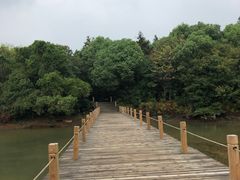 -鄱阳湖国家湿地公园