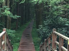 -同里国家湿地公园