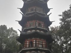 -上海佘山国家森林公园西佘山园