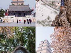 -大慈恩寺(大雁塔)