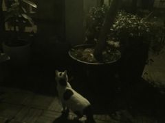 -二楼南书房