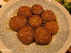 -老板恋上鱼(高新万达店)