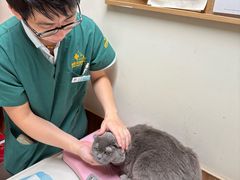 -御宝贝24h宠物医院·转诊中心·CT核磁血透中心(厦门总院)