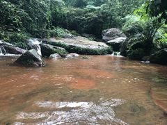-赤水丹霞旅游区·佛光岩