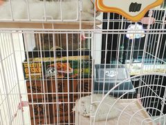 -凯德广场(学府店)